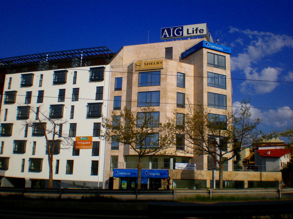 AIG by zonemars