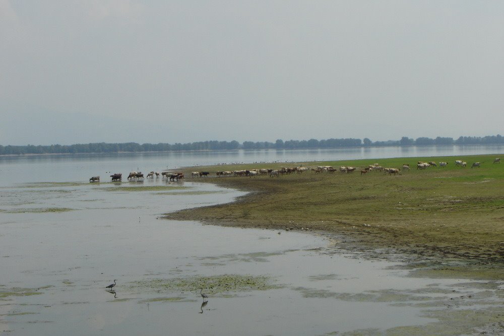 LAKE KERKINI SERRES by FYNMAN