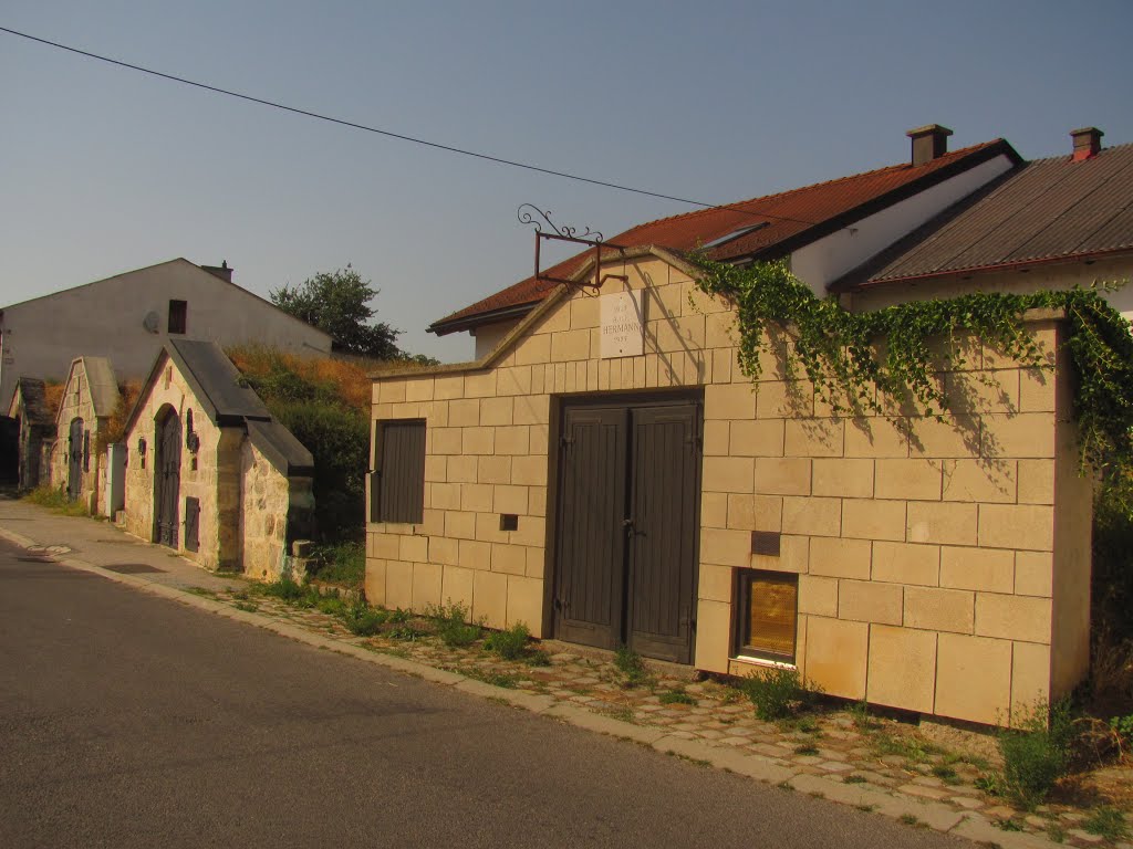 Purbach am Neusiedlersee, Törökpince by renault25