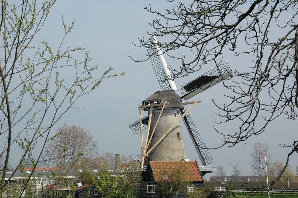 Haastrechtse molen bij Gouda by René Speur