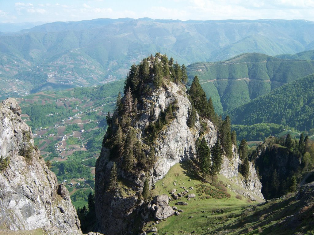 61300 Kuruçam/Akçaabat/Trabzon, Turkey by eu.purkinje