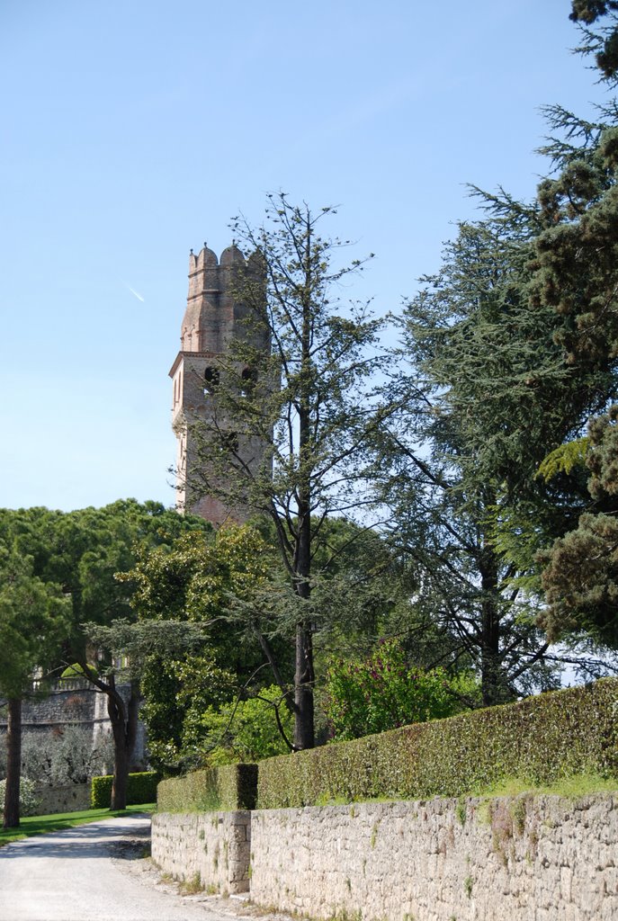 Castello di San Salvatore by ANDREA TONON