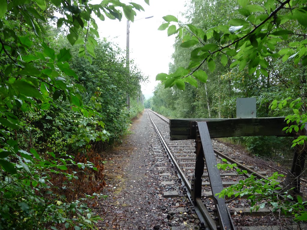 Gleisendsbschluß Blankenstein mit Sicht Ri Bahnhof August 2013 by von-Biedenfeld