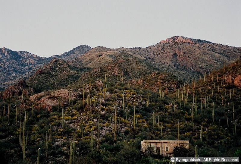 Ventana Canyon Hut at Dusk by Marc Grabisch