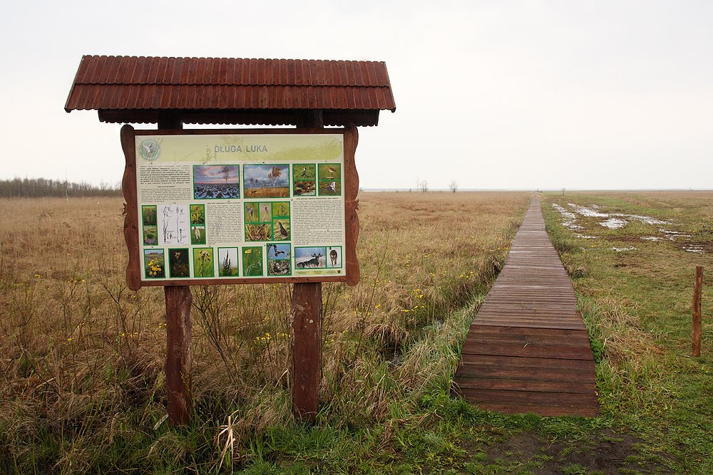 Biebrza National Park - touristic route by Krzyg