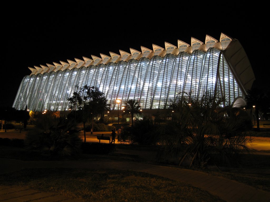 Ciudad de las Artes y las Ciencias by Jose Javier Goikoetxea