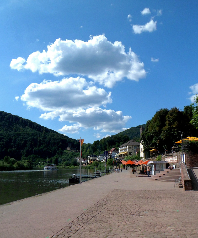 Neckarsteinach by bmefotode