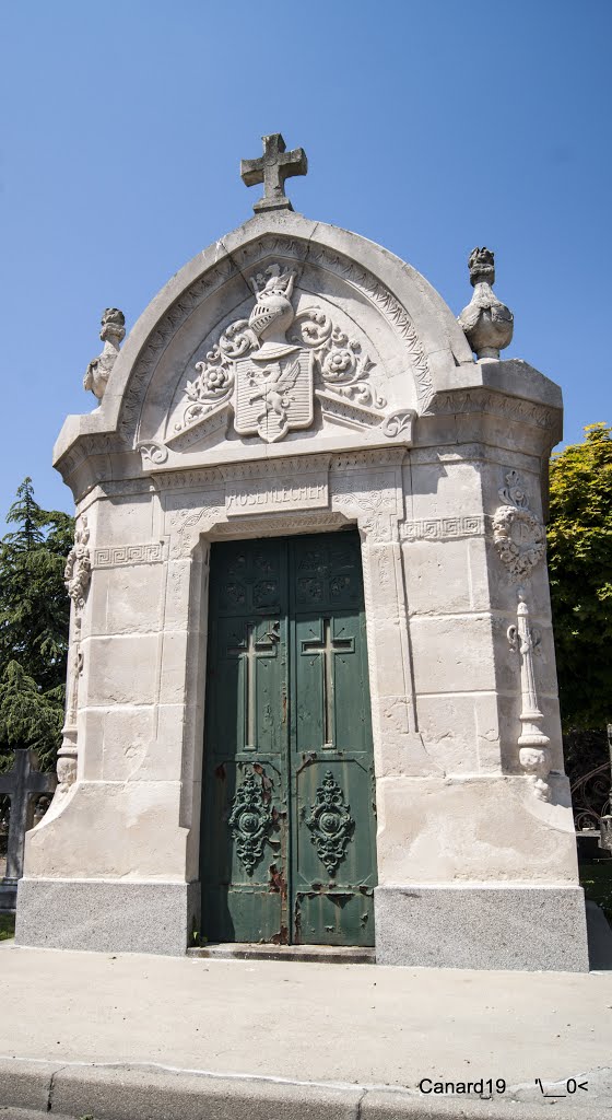 Cimetière Sainte-Marie by Canard19