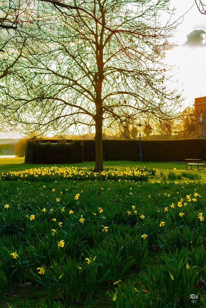 Springtime at Himley by rickfr001