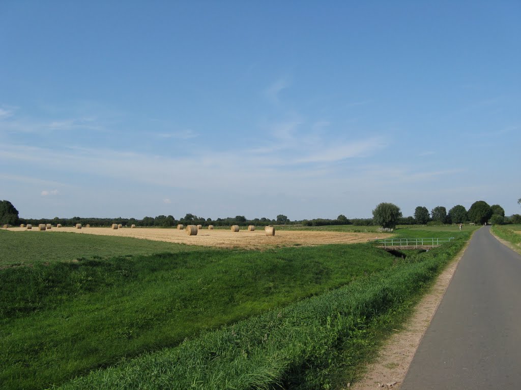 Zwischen Morsum und Intschede, Thedinghausen - Weserradweg (Südroute) (Blick->Nordost) by yosef79