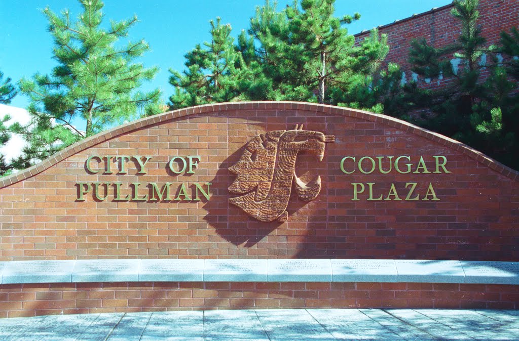 02-06-23: cougar plaza by dsdugan