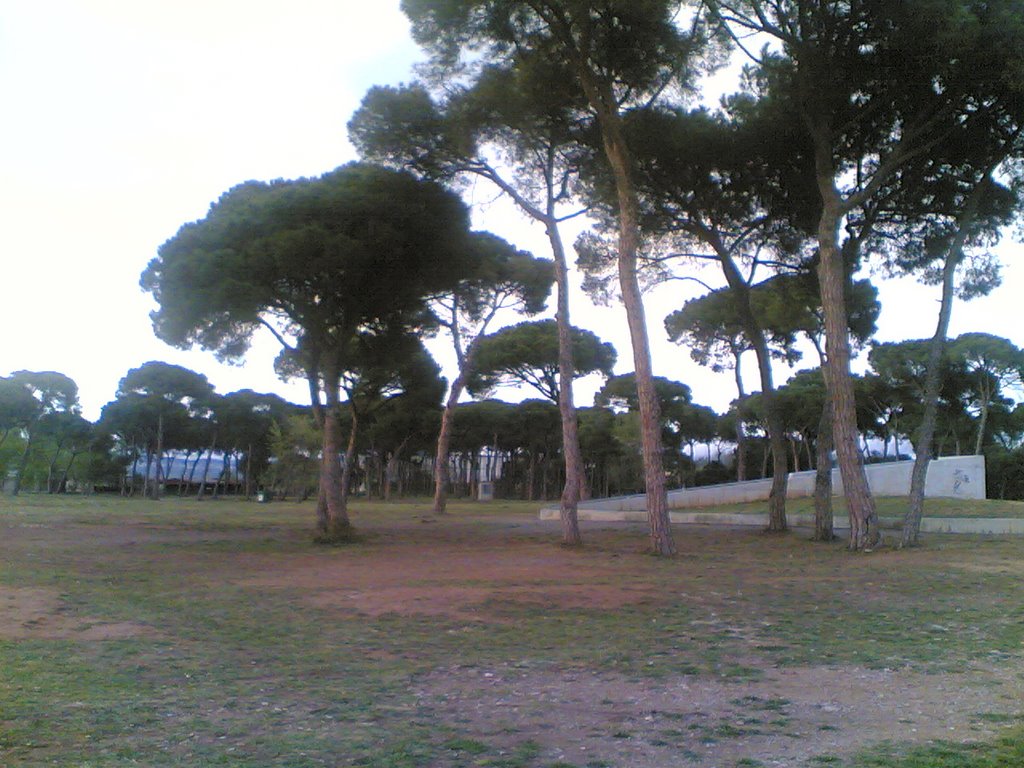 Bosc del parc de l'hostal de fum by manueldo