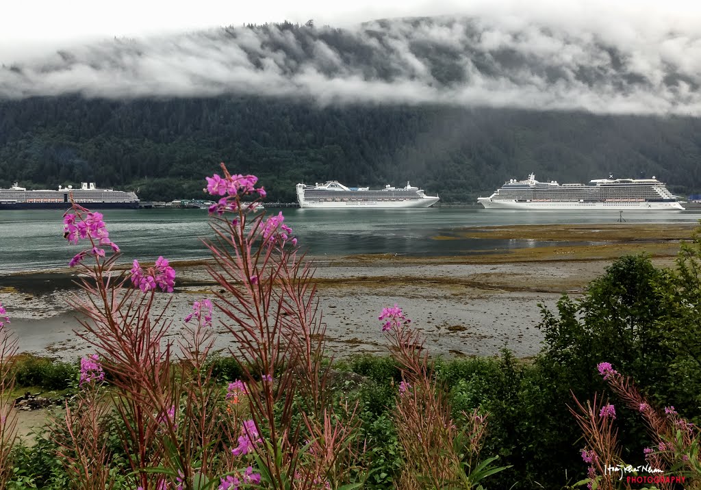 Juneau, Alaska by Hoàng Khai Nhan by Hoàng Khai Nhan