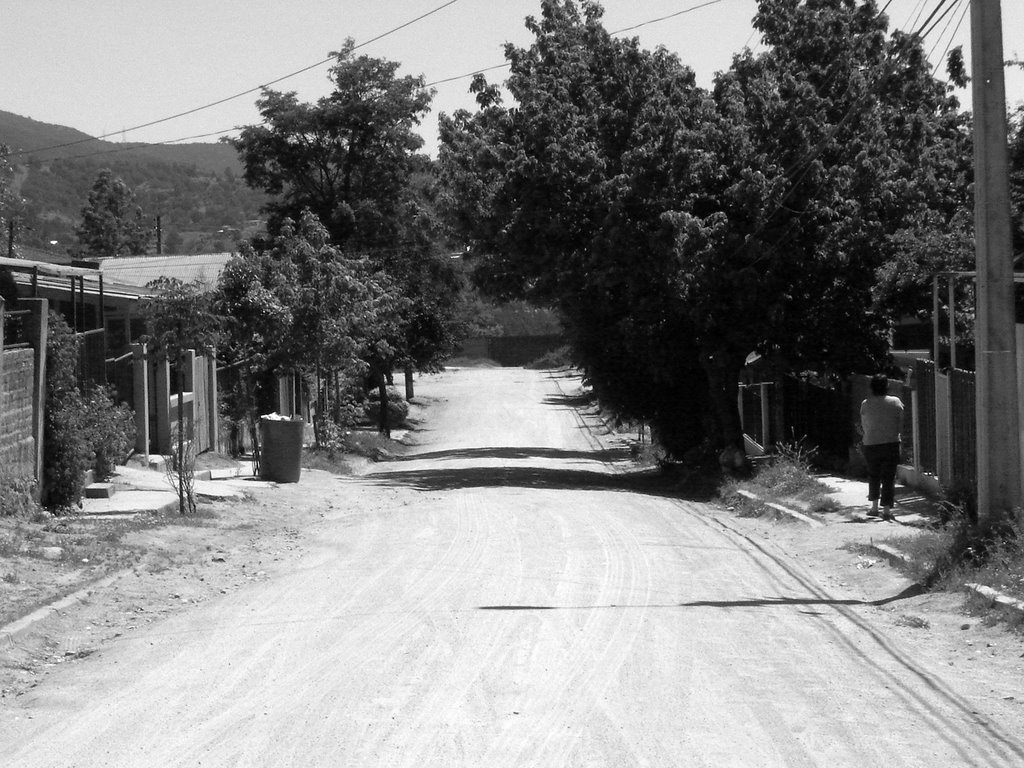 Calle Carmen, Quilpué by Bravo!