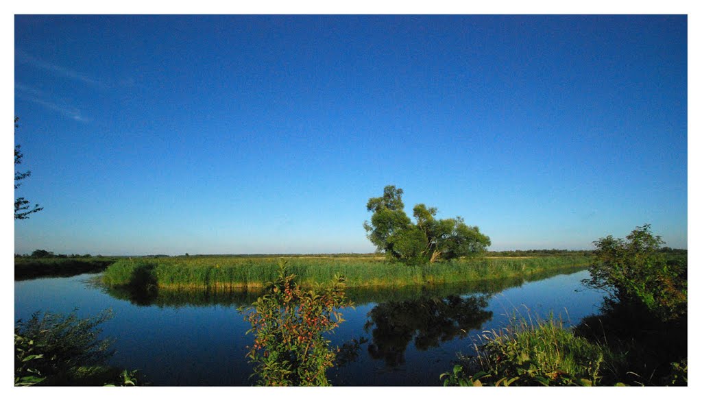 Biebrza River near Dębowo by Jerzy Szygiel