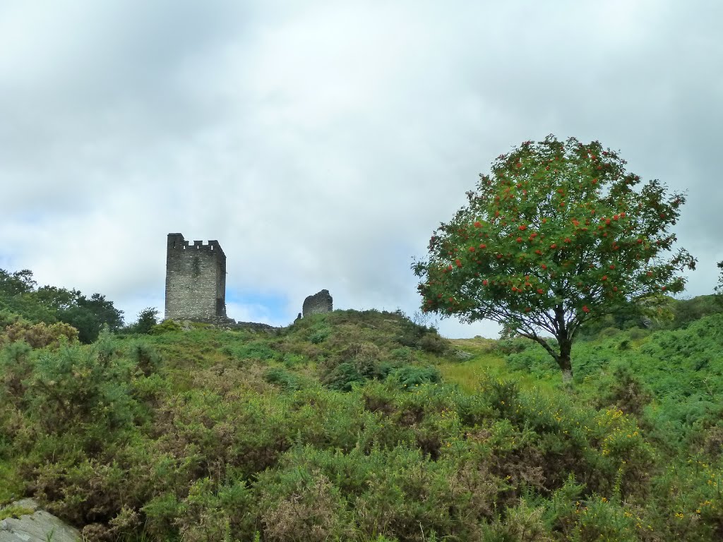 Castell Dolwyddelan - built by Welsh Prince Llewellyn the Great between 1210 & 1240 to control trade routes. Captured by English forces on January 18th, 1283. by Kevin J. Norman