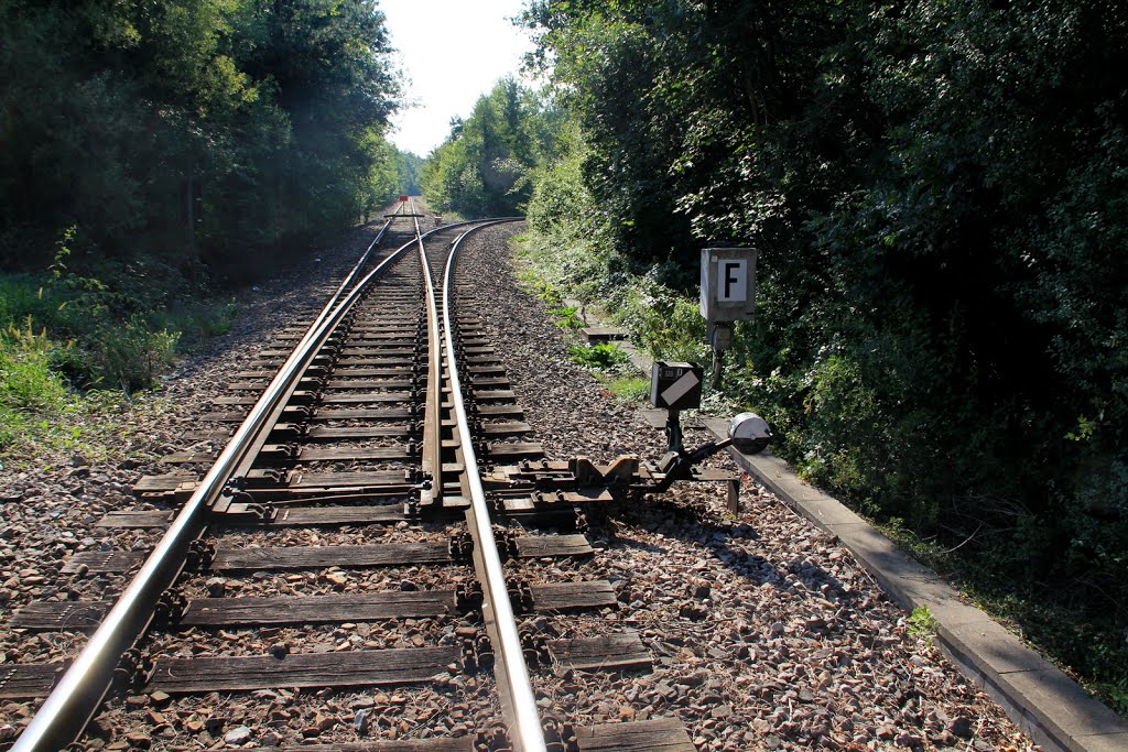 Bahngleise in Rastatt in Richtung Wintersdorf by Frank Kiefer