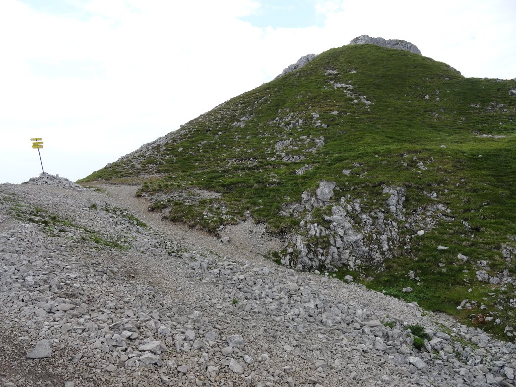 Wegweiser am Pass kurz unterhalb des Scheffauer by Thomas Esch