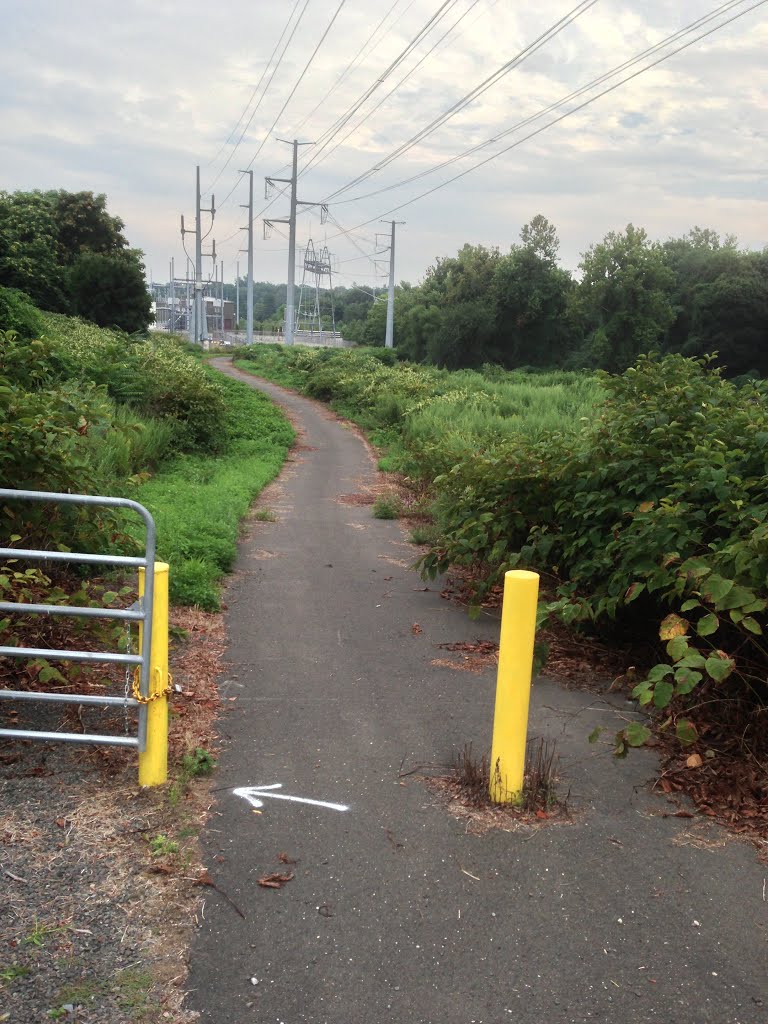 Bike Path by rogerking