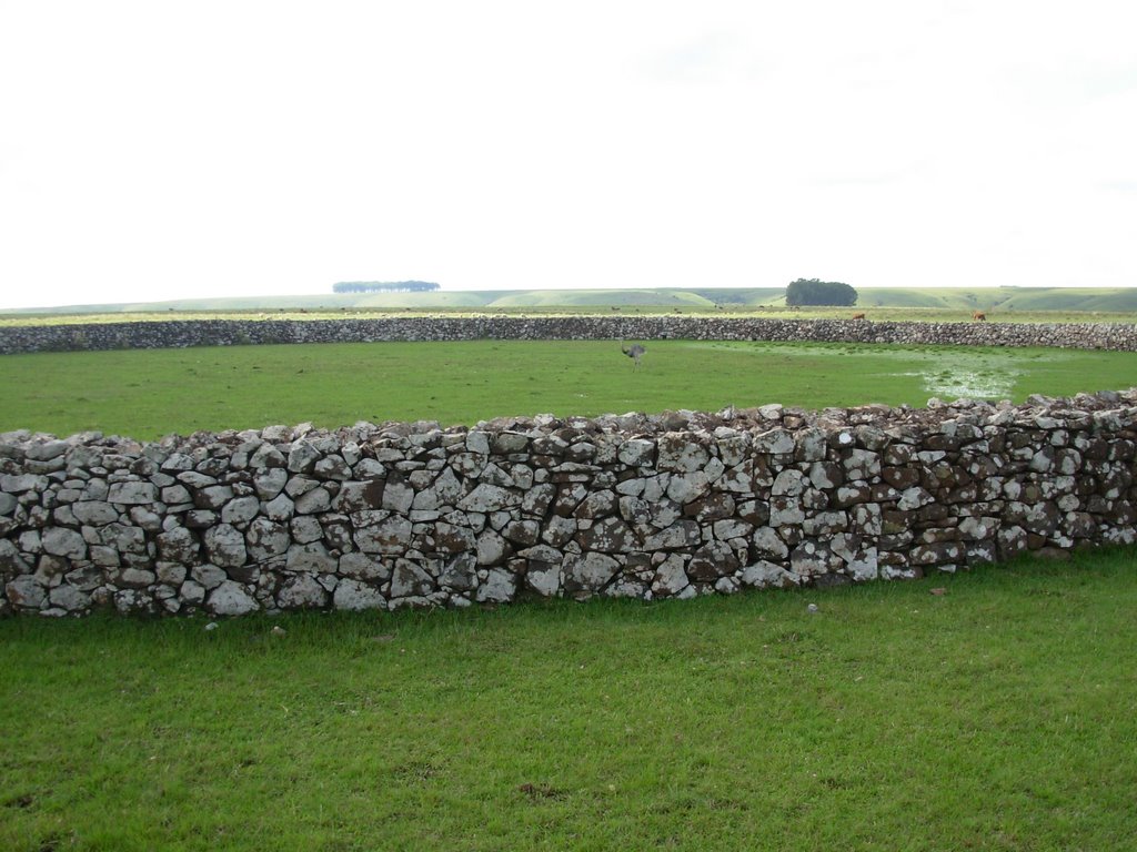 Manguera de Piedra, Cuchilla de Haedo-Tacuarembó by Juan Pablo Nebel Fue…