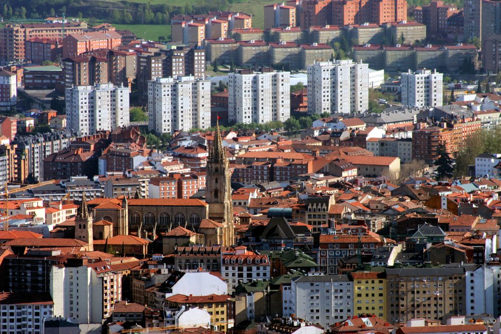 CATEDRAL Y CASCO ANTIGUO - OVIEDO- DESDE EL NARANCO by machaca2218