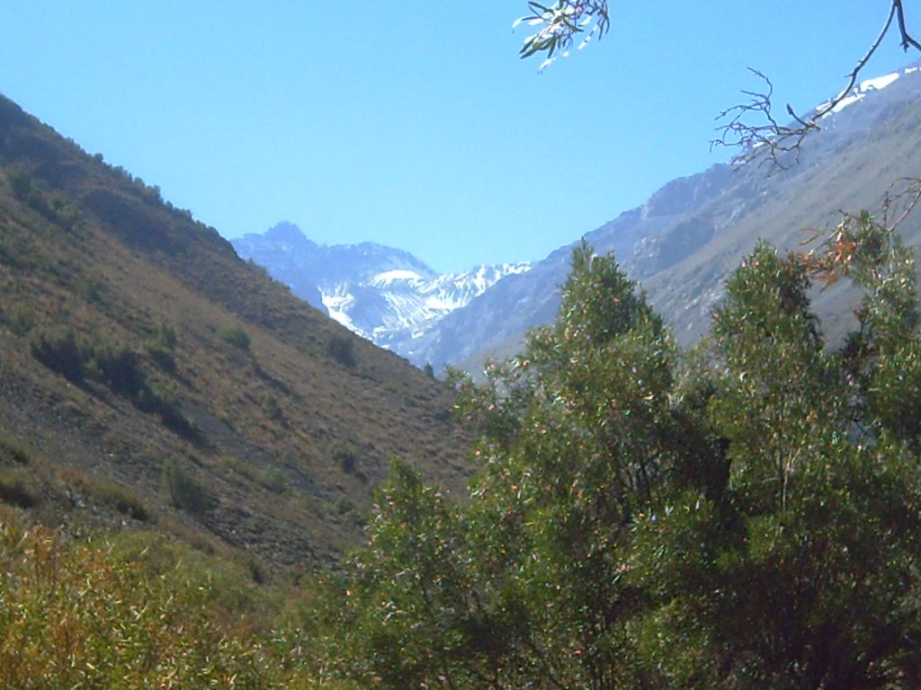 Yerba Loca: vista hacia la cordillera by José Pedro Martínez