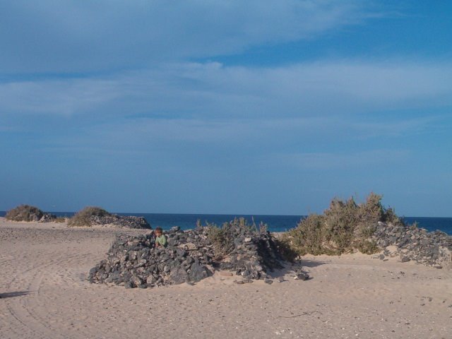 CORRALITOS EN CORRALEJO by fuerteventuragirl