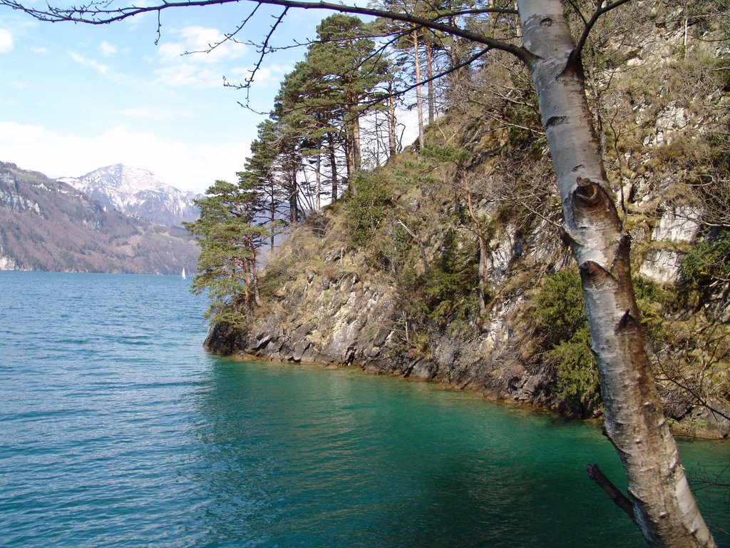 Lake Lucerne by beroarklinux