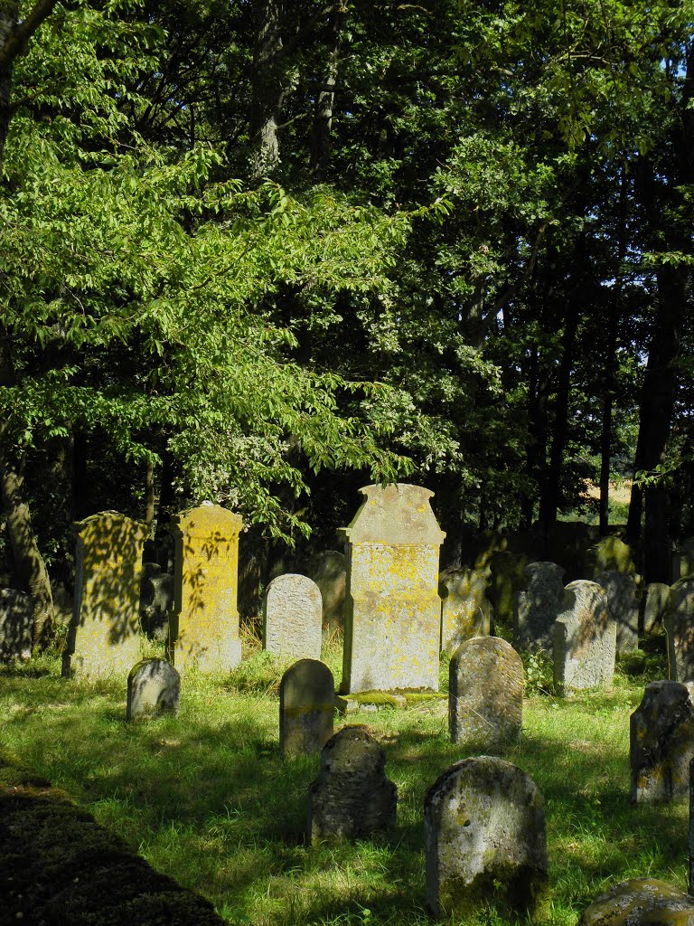 Jüdischer Friedhof Weikersheim I by stedinger85