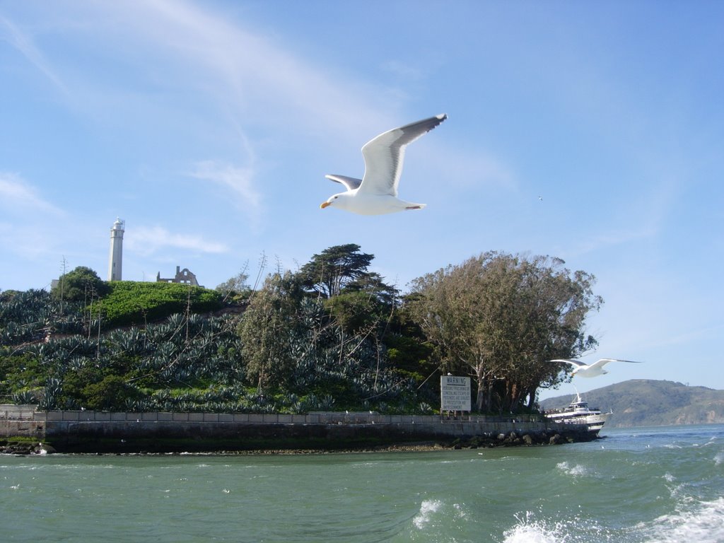 Alcatraz by Naoum Abeid