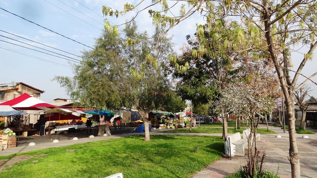 Plaza de Av.Los Carolinos by Luis Cesar