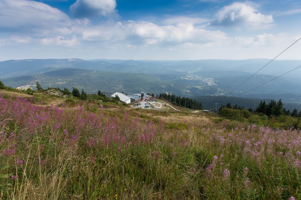 Arbergipfel 08/2013 by Heinz R.