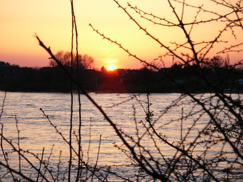 Sonnenuntergang in Meerbusch, gegenüber Düsseldorf-Kaiserswerth by Francueil