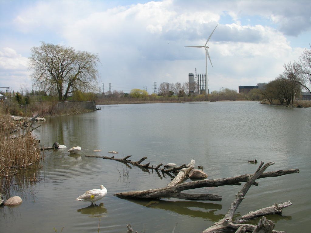 Swans and Power Plants by ScubaCat