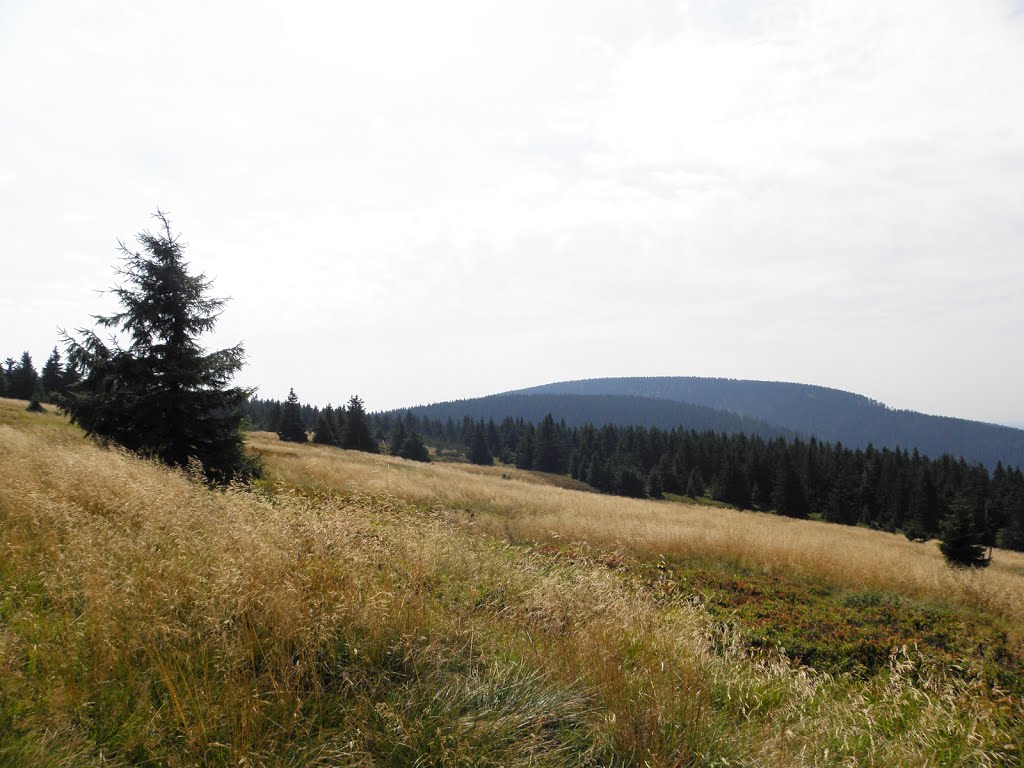 Hala pod Śnieżnikiem by Dodge