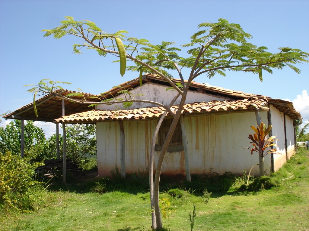 Ilha de Itaparica.Mar Grande. by luciano passos cruz [<Θ>]