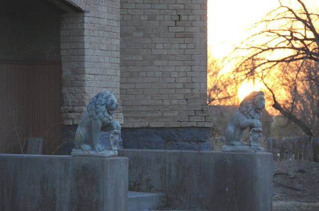 Lions guard the entrance by cal