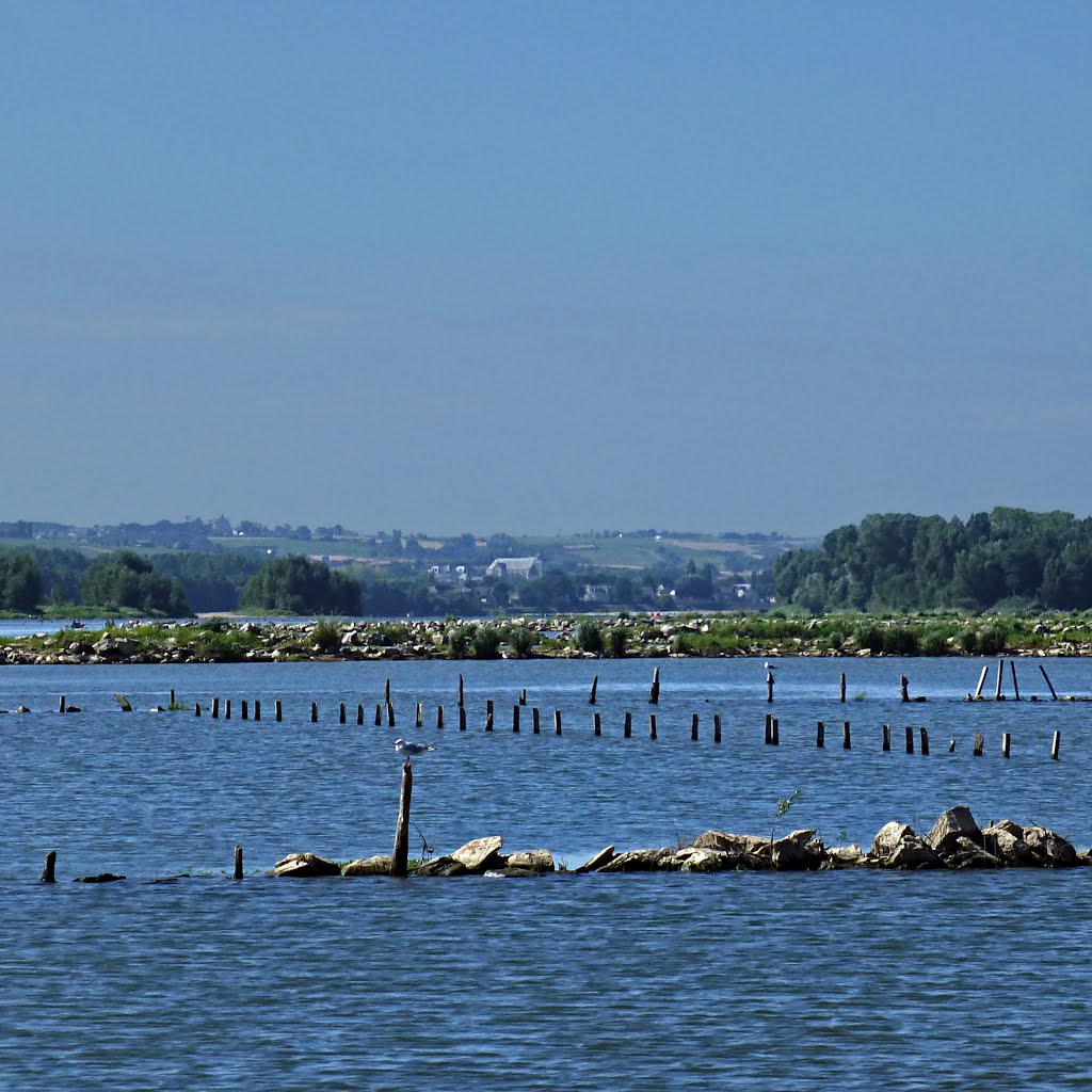 La Loire à La Pointe (49) by Pom-Panoramio? YES !