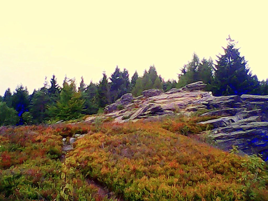 Gipfelplateau des Hohen Steins bei Kamen / Tschechien by wolfgang.kohl6463