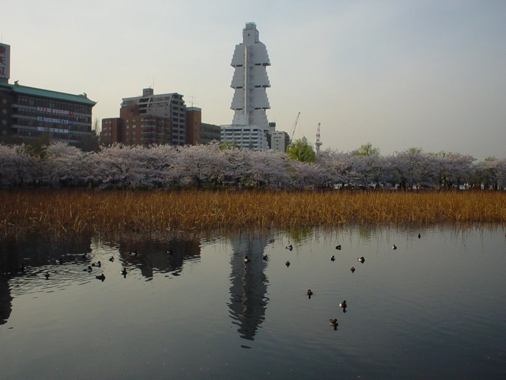 Sofitel Hotel from Ueno Park Pond by matconnor