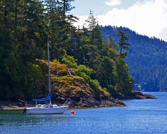 Coopers Cove BC Canada by Jonathan Kacki