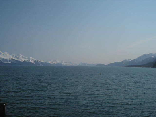 View from Sea Life Center by Andrew Hopper