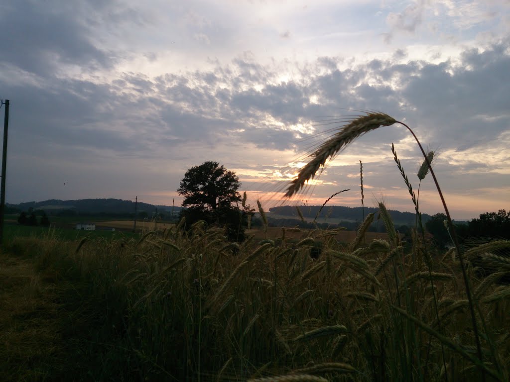 Düdingen by Birdsofpray