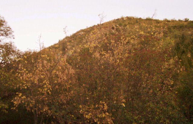 Ladera Otoñal en La Falda- Valle de Punilla- by Alejandro Gordillo