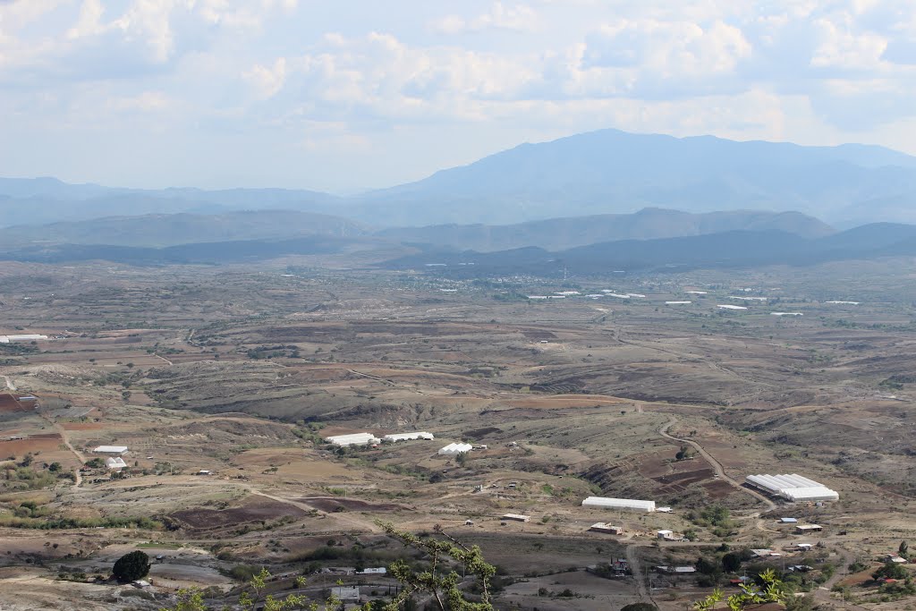 Vista tierra blanca santiago matatlan oaxaca by ferluux