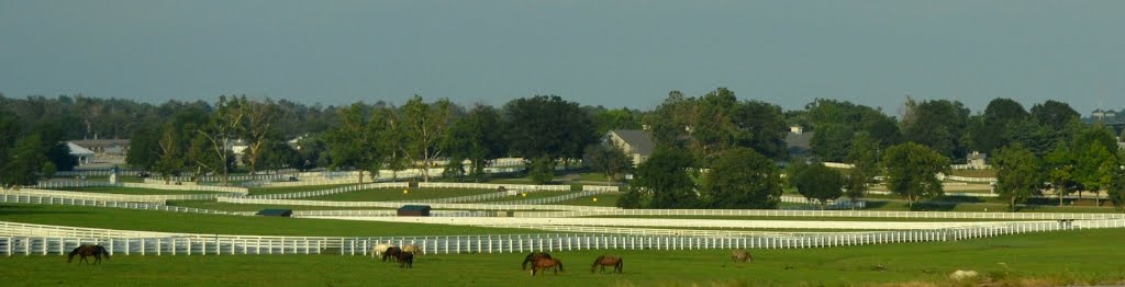 Horse farm in Lexington by uclynch