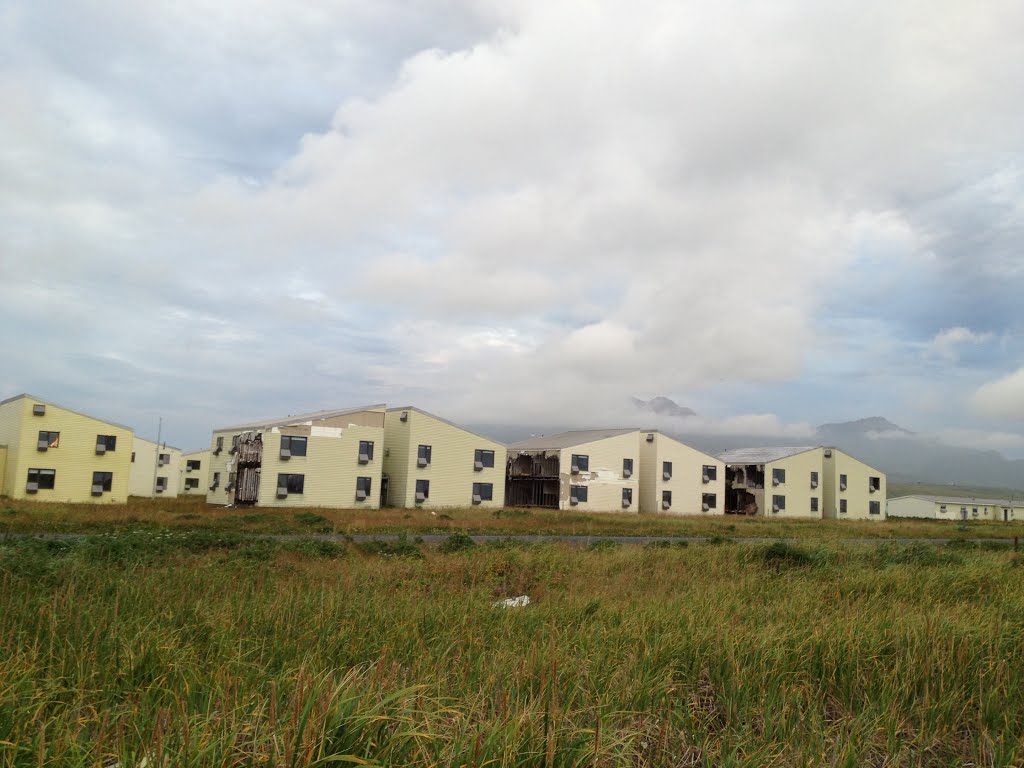 Housing left from Closed Navy Air Station by sskeehan