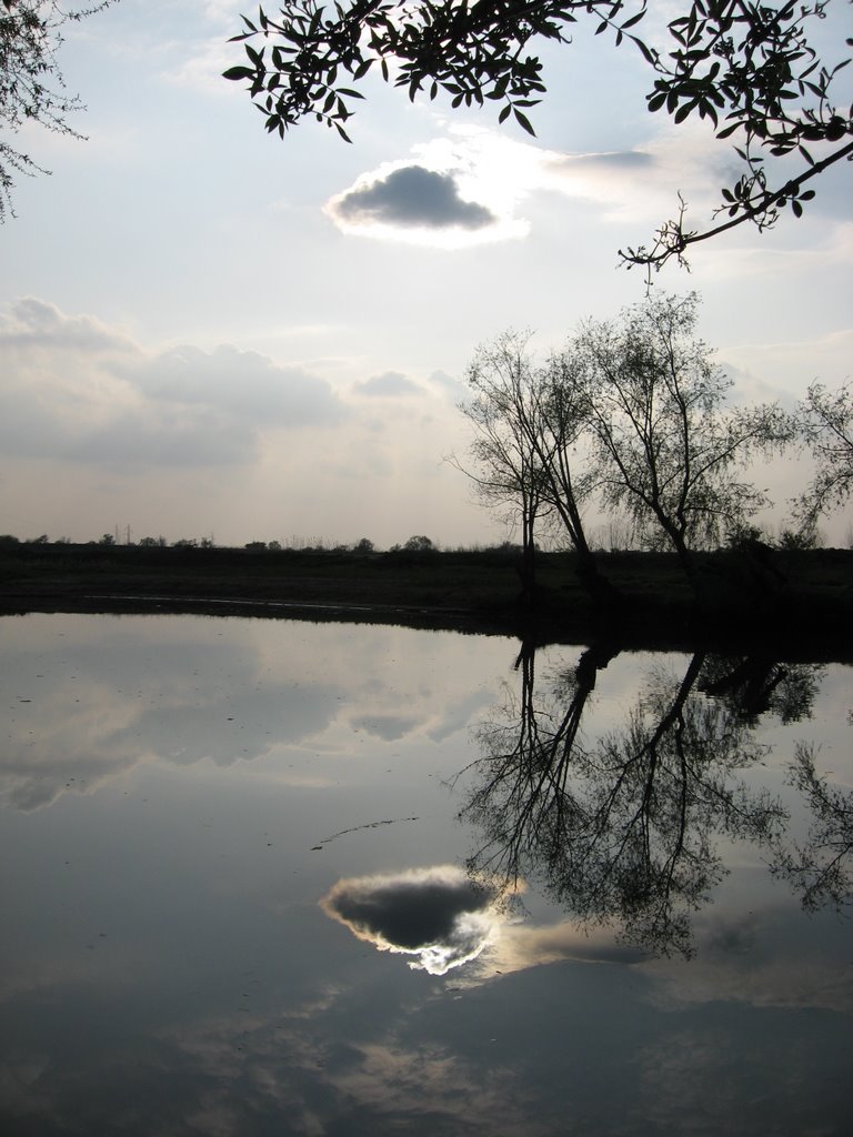 Reflected little cloud by mdrmoncic