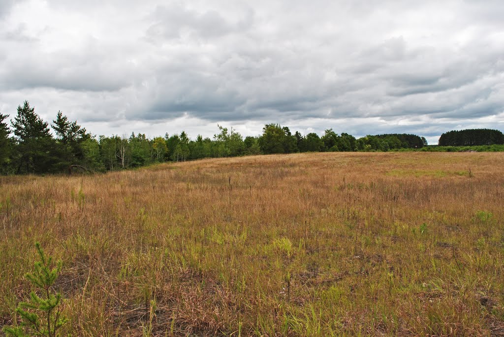 Kohler-Peet Barrens State Natural Area by Aaron Carlson