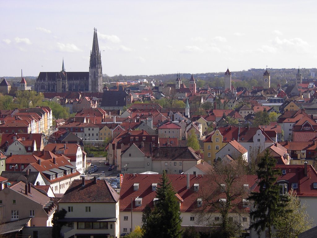 Blick vom Dreifaltigkeitsberg auf Regensburg by logopaar